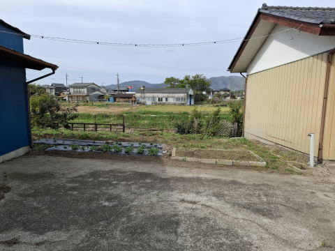 家庭菜園